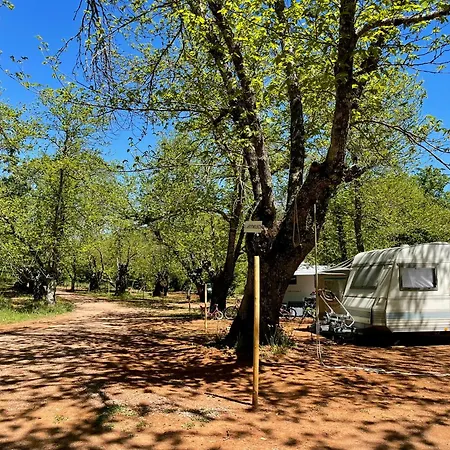 El Madronal Campsite