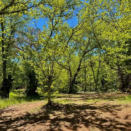Campsite El Madronal Fuenteheridos