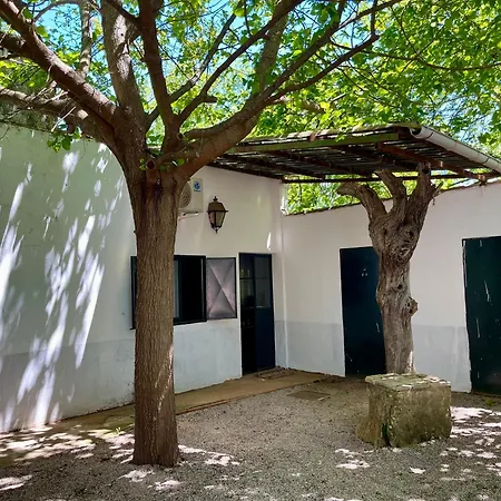 Campsite El Madronal *