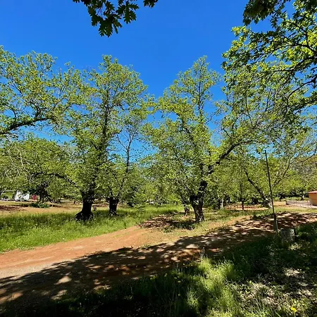 El Madronal Campsite