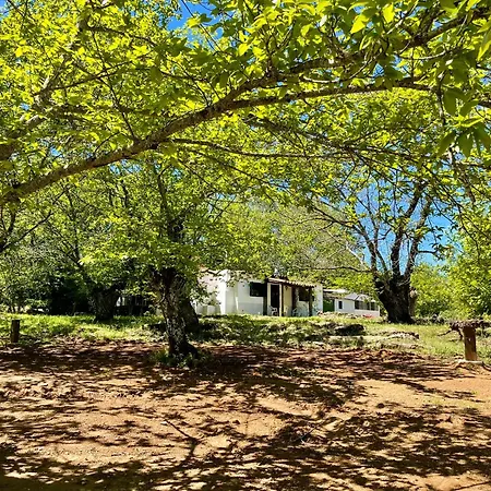 Campsite El Madronal Fuenteheridos