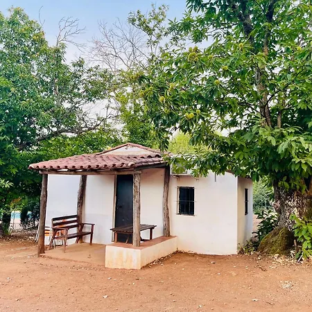 El Madronal Campsite