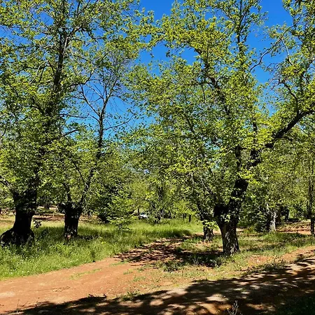 El Madronal *